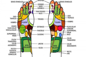esc2-Desintoxicación-Iónica-500X500